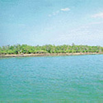 Sundarbans National Park (1987)