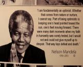 Gandhi Mandela Wall Photos-34